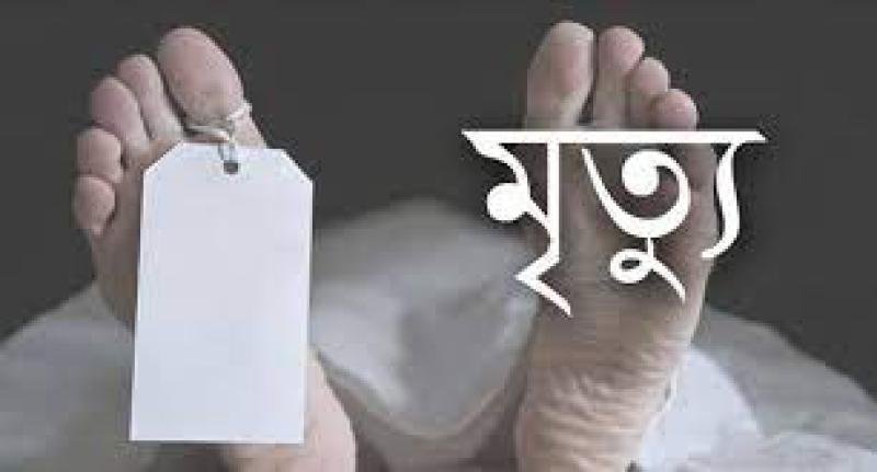 শরণখোলায় গাছের চাপায় দিনমজুরের মৃত্যু