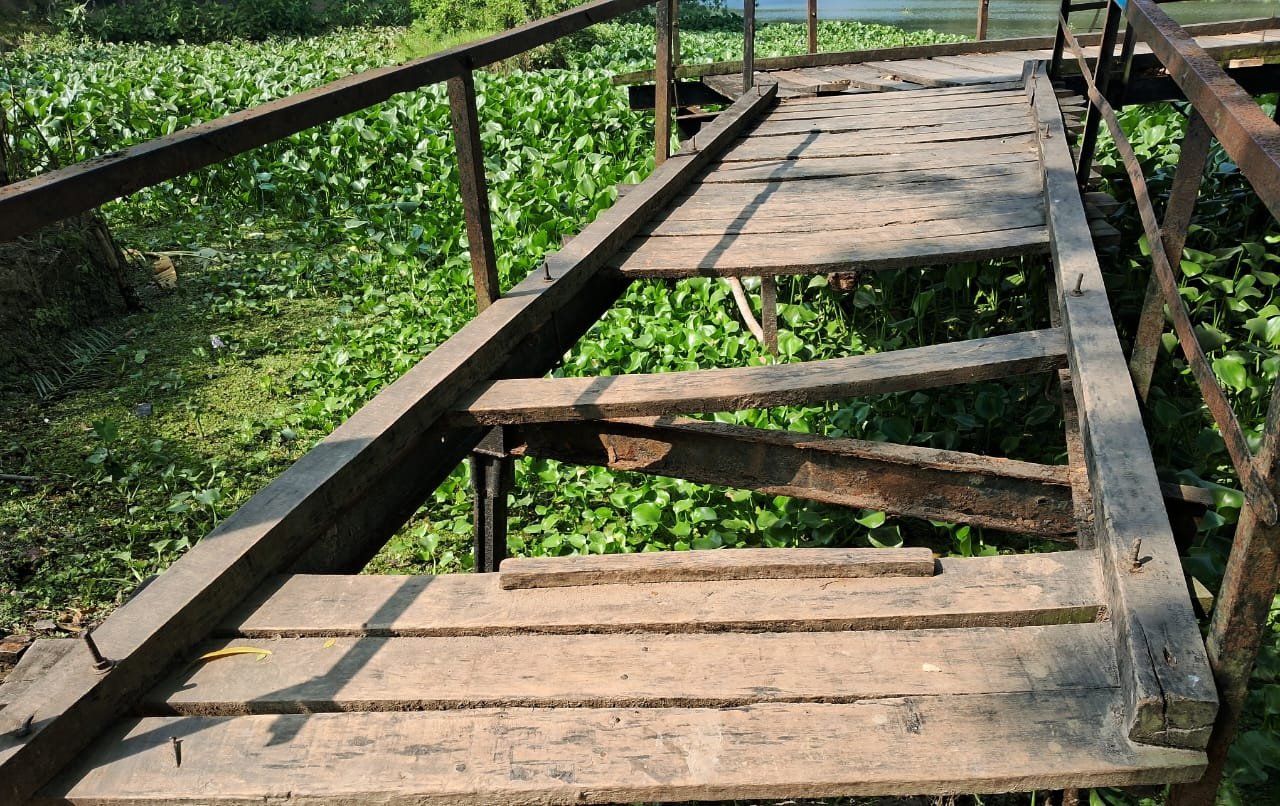 অকার্যকর কাঠের পোল দিয়ে ঝুঁকিপূর্ণ চলাচল, দুর্ঘটনার শঙ্কা